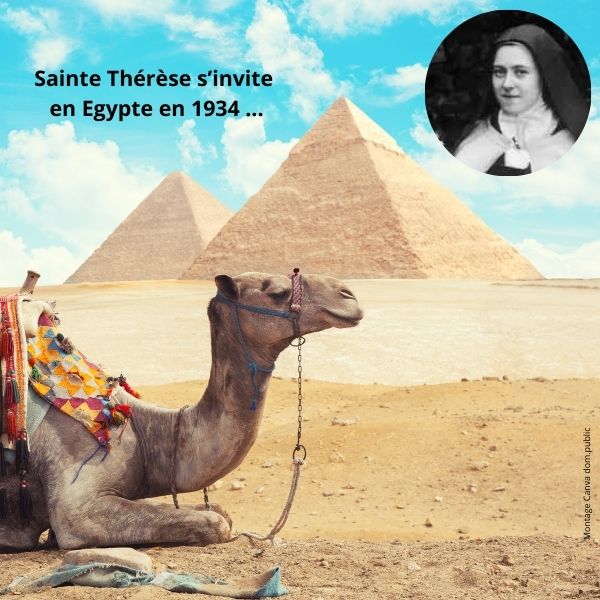 Thérèse en mission spéciale… au Caire