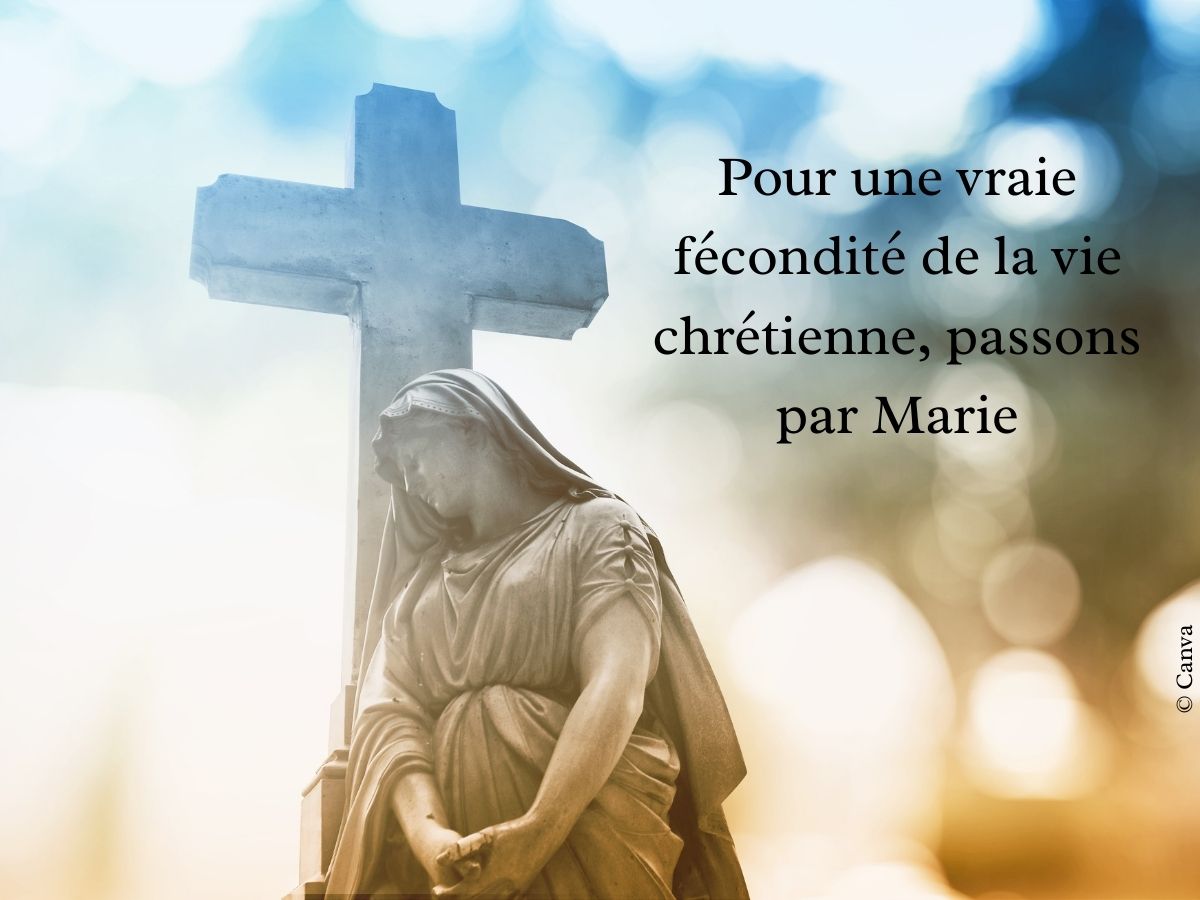 Pour une vraie fécondité de la vie chrétienne, passons par Marie