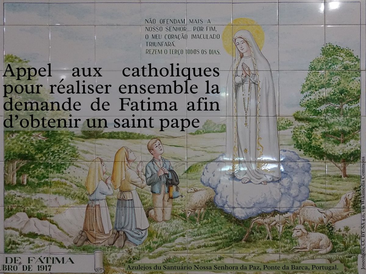 Appel aux catholiques