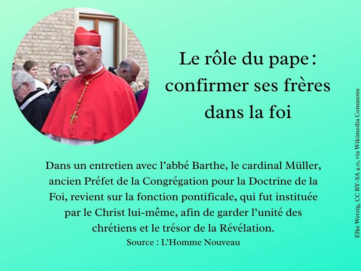 Le-role-du-pape-confirmer-ses-freres-dans-la-foi