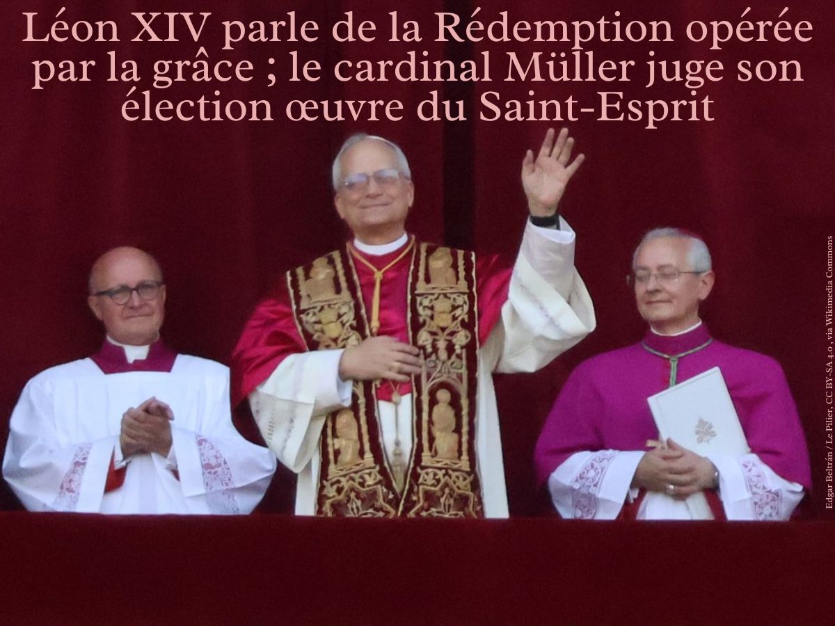 Léon XIV évoque la nécessaire grâce de Dieu
