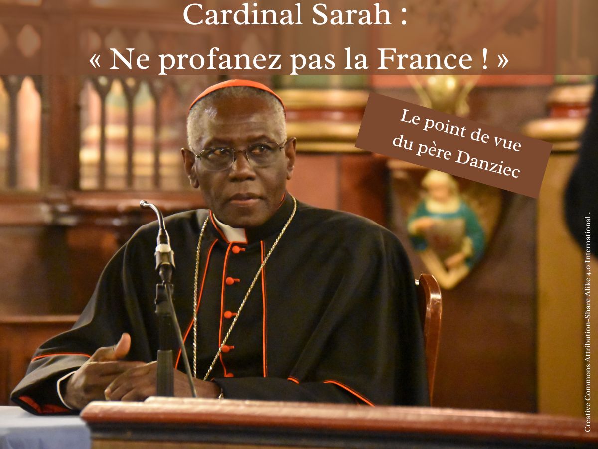 Cardinal Sarah : « Ne profanez pas la France ! »