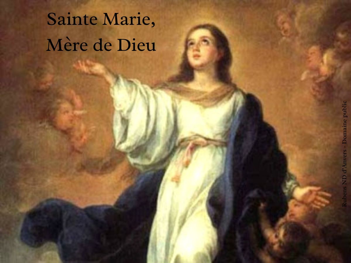 15 Août : Sainte Marie, Mère de Dieu