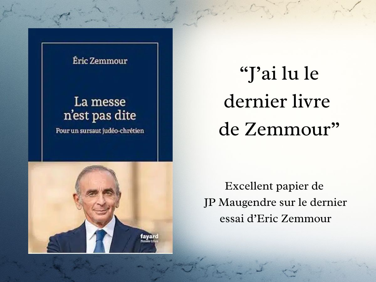 J-ai-lu-le-dernier-livre-de-Zemmour-1-