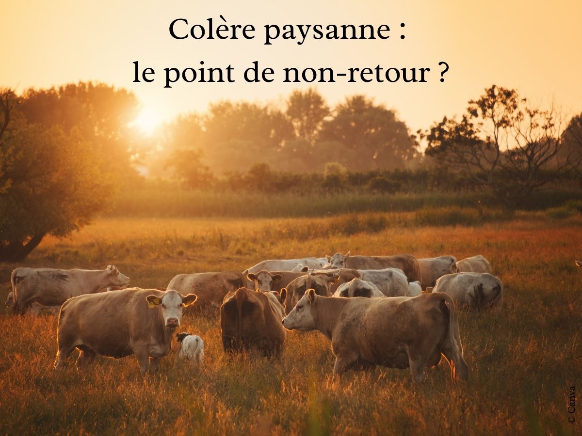 Colere-paysanne-le-point-de-non-retour-