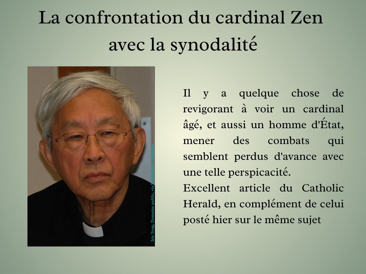 La confrontation du cardinal Zen avec la synodalité