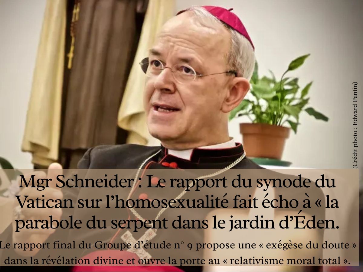 Le rapport du synode sur l’homosexualité, c'est « la parabole du serpent dans le jardin d’Éden ».