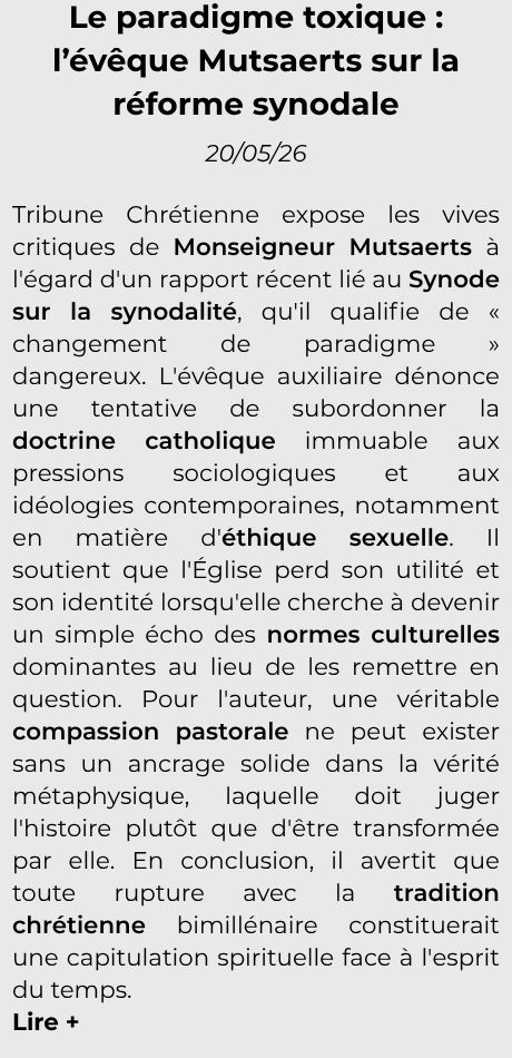 Le-paradigme-toxique-l-eveque-Mutsaerts-sur-la-reforme-synodale-2-