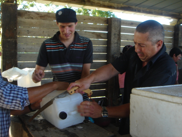Ferrade 2013 001