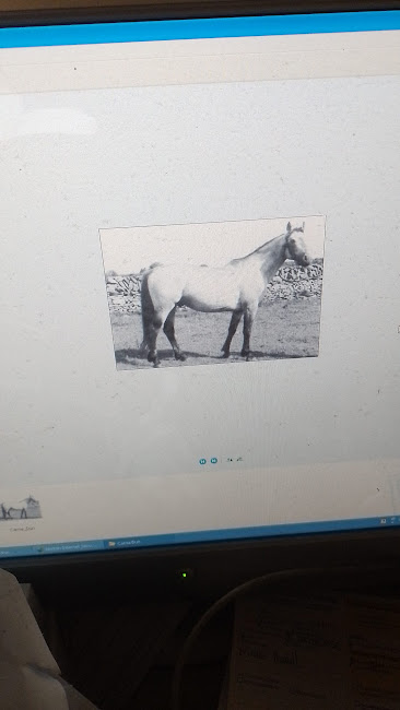 Img 20250416 wa0013