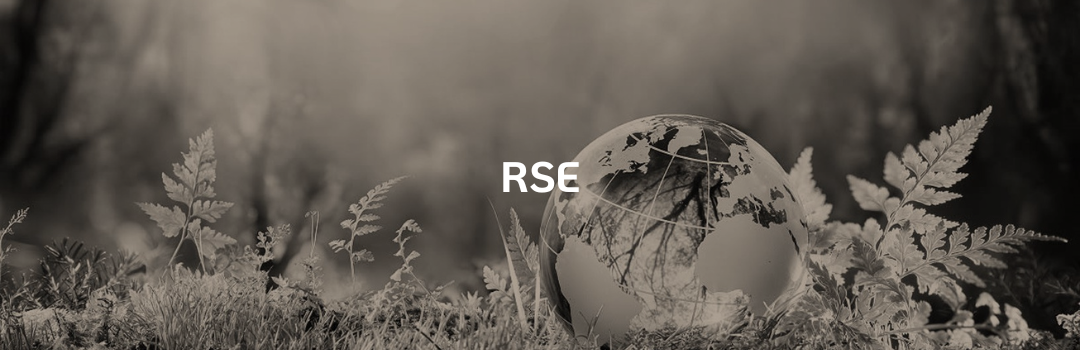 RSE : ENJEUX SOCIAUX ET ENVIRONNEMENTAUX