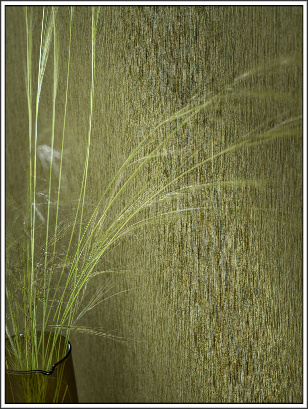 Pp vert focus 1