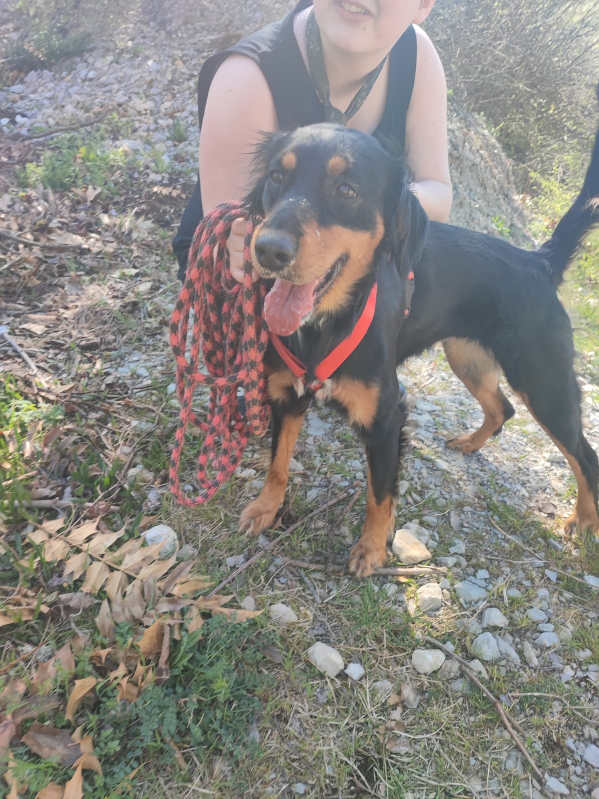 Whatsapp image 2025 04 06 at 18 49 58 1 