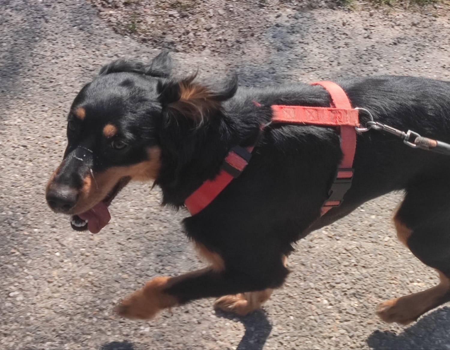 Whatsapp image 2025 04 06 at 18 49 58