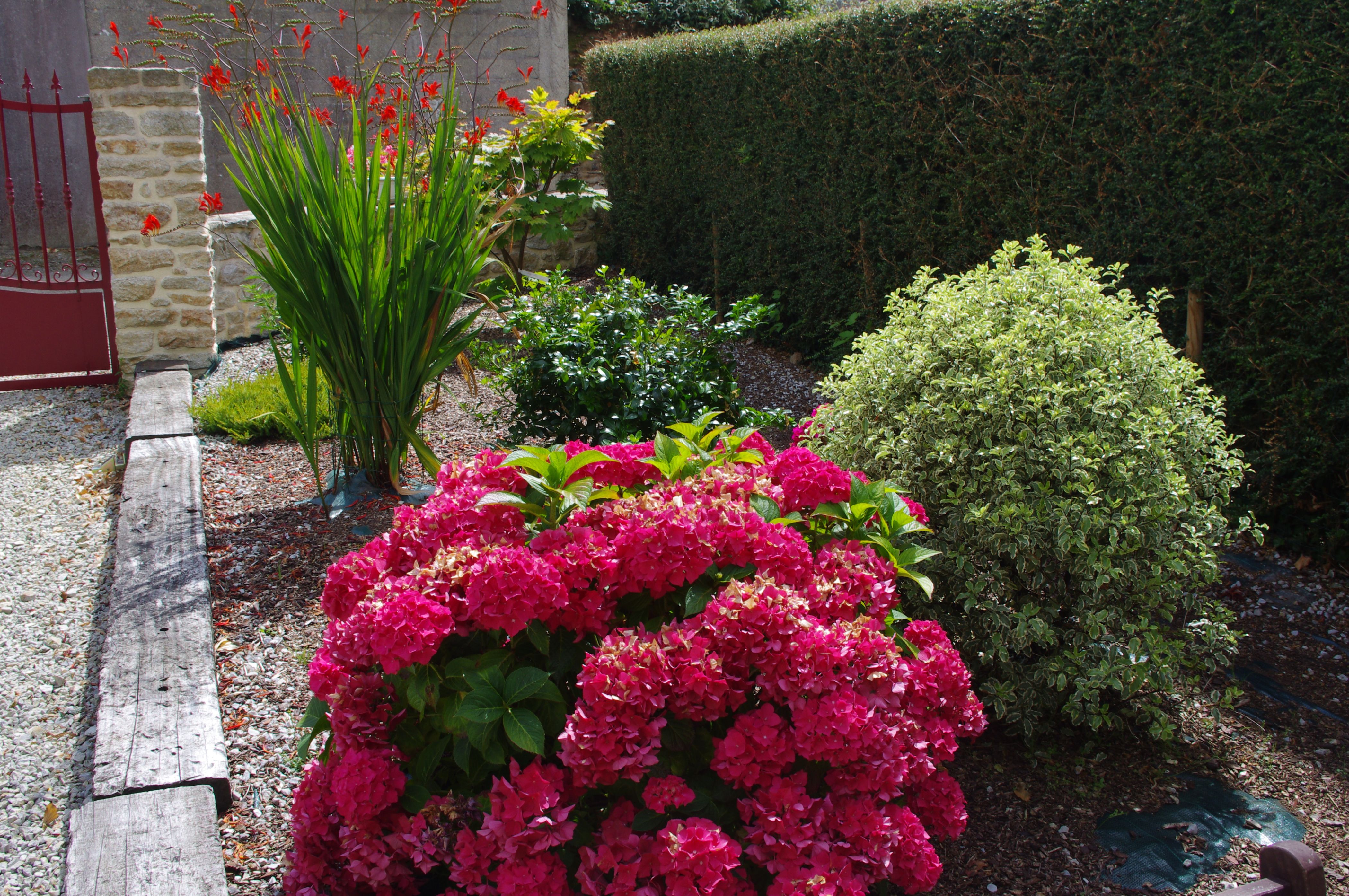 Jardin 2