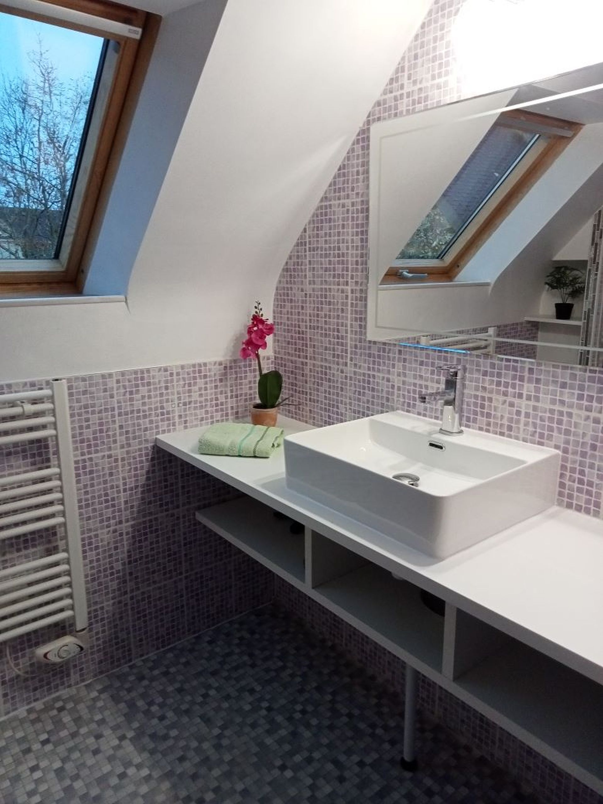 Salle de douche 1