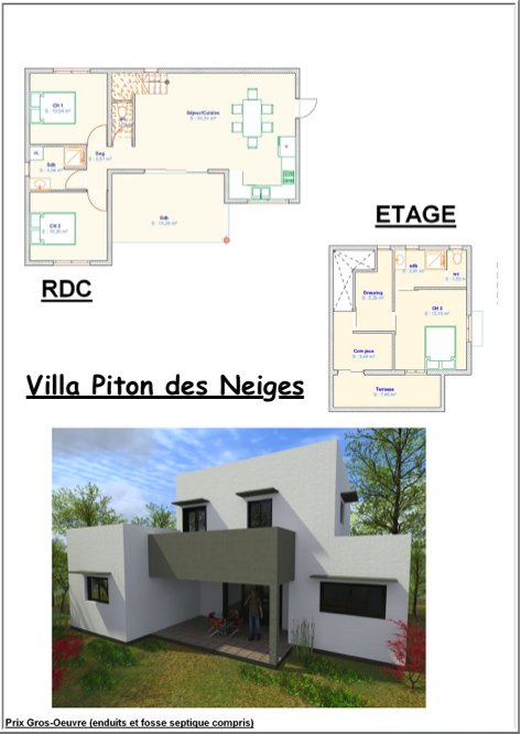 Villa piton des neiges