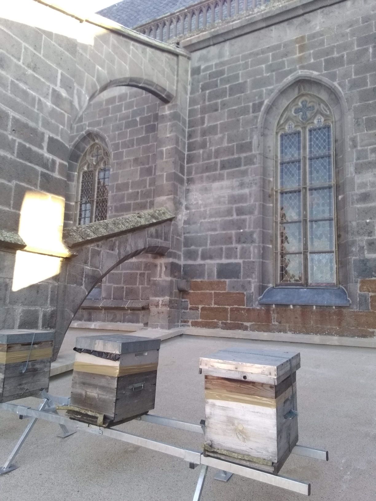 Img 20190809 073225