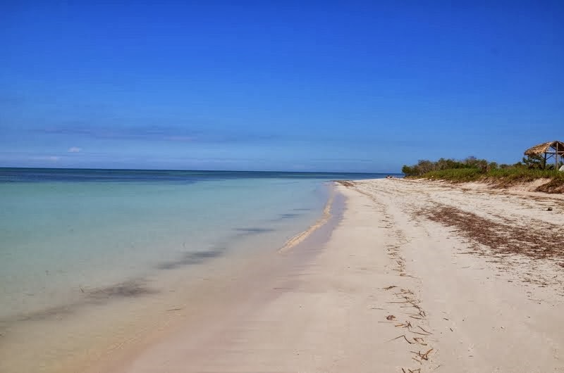 Cayo levisa 1 