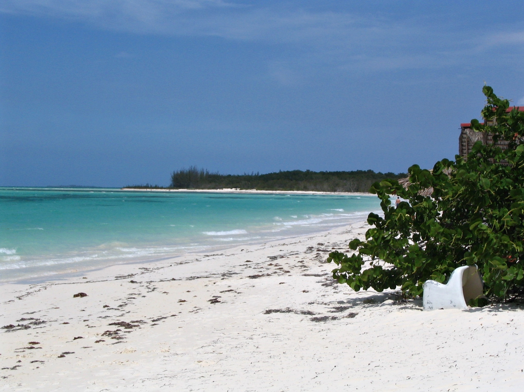 Cayo levisa 4 