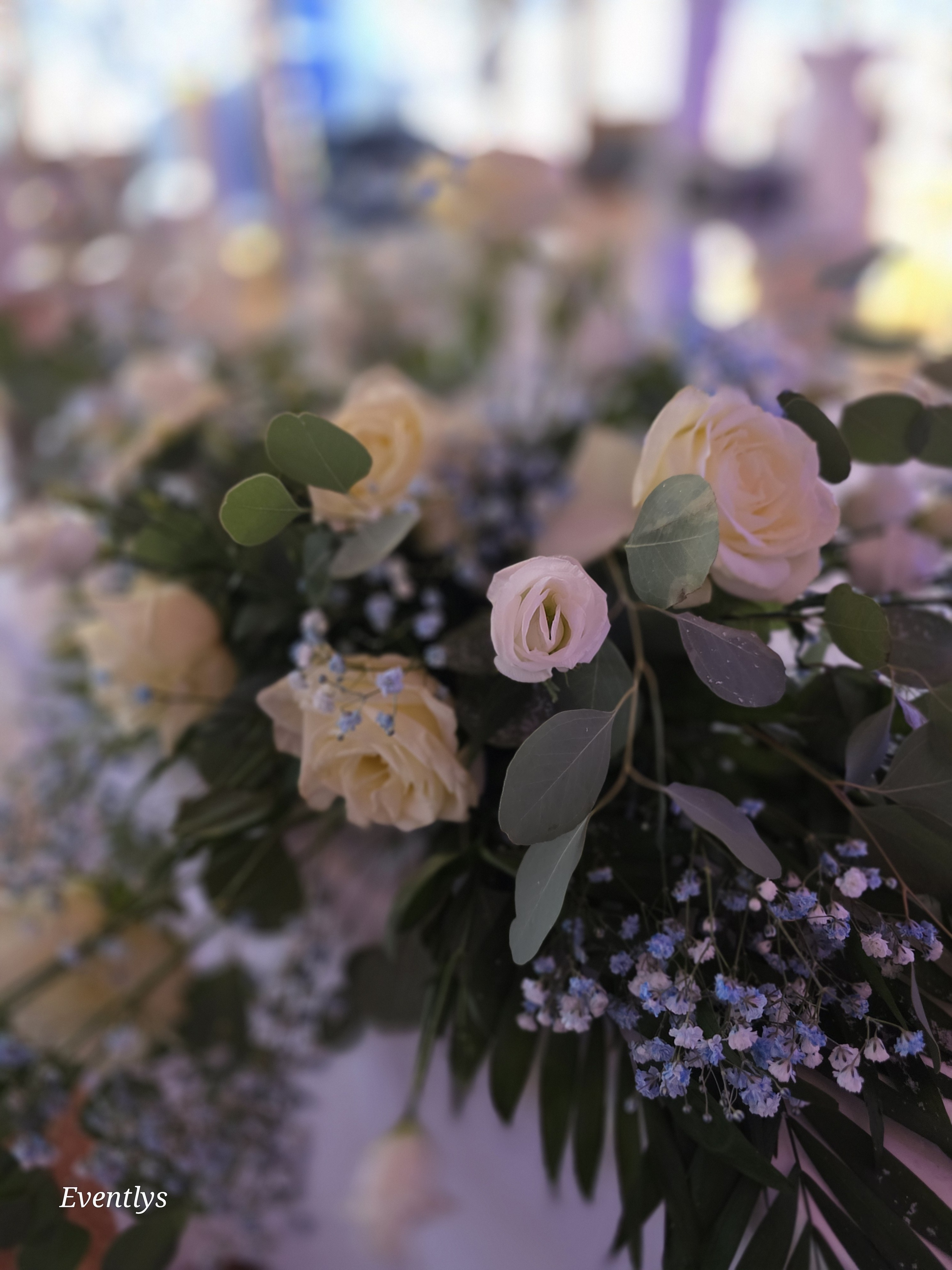 Celine et sebastian 27