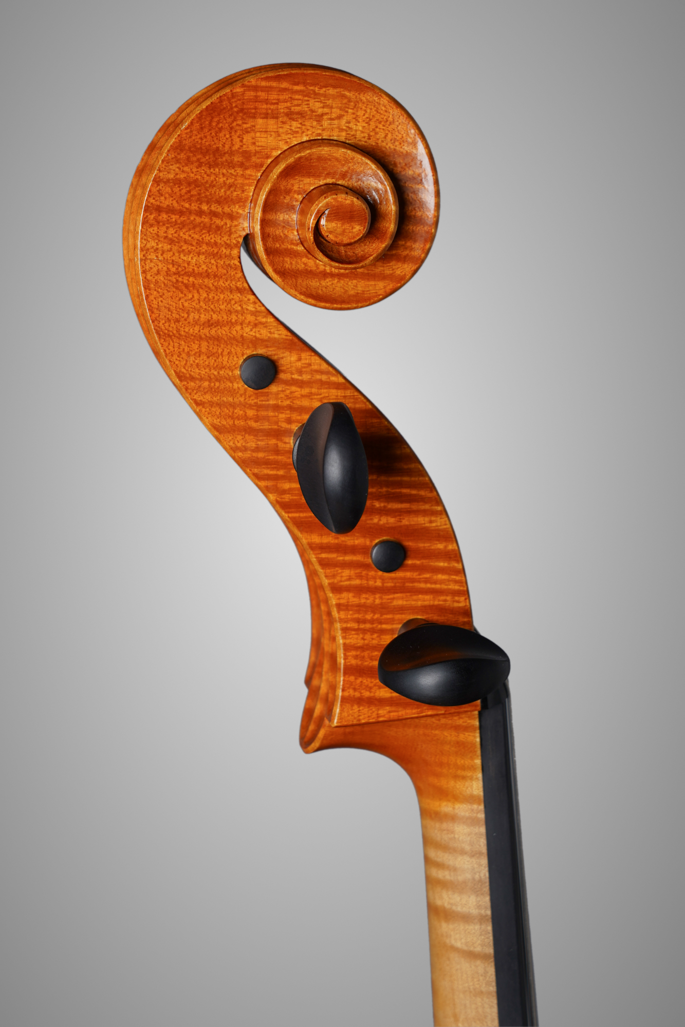 Amandine hervouet lutherie violoncelle1 3 voluteb credit photo emmanuelle trompille