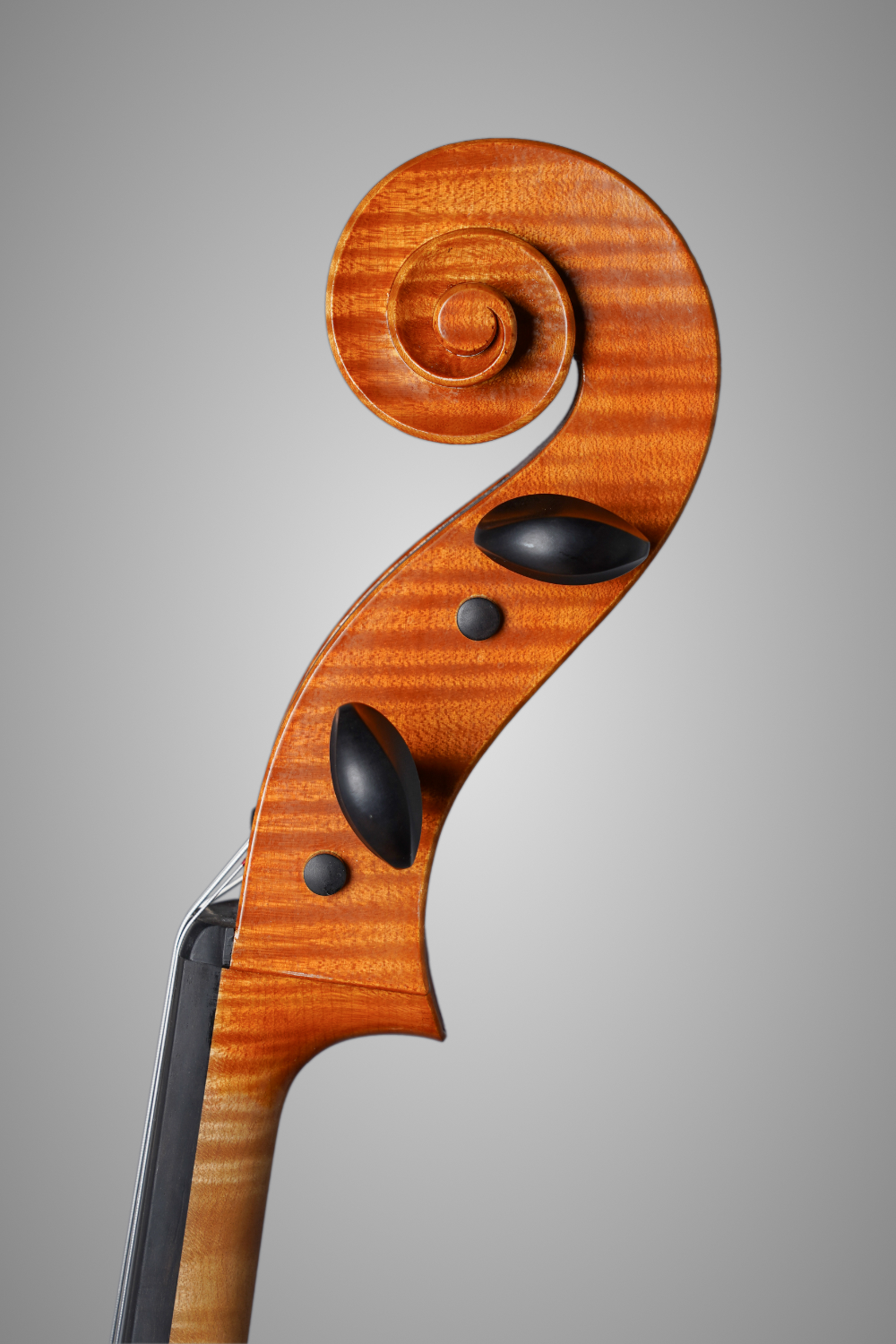 Amandine hervouet lutherie violoncelle1 5 volutea credit photo emmanuelle trompille