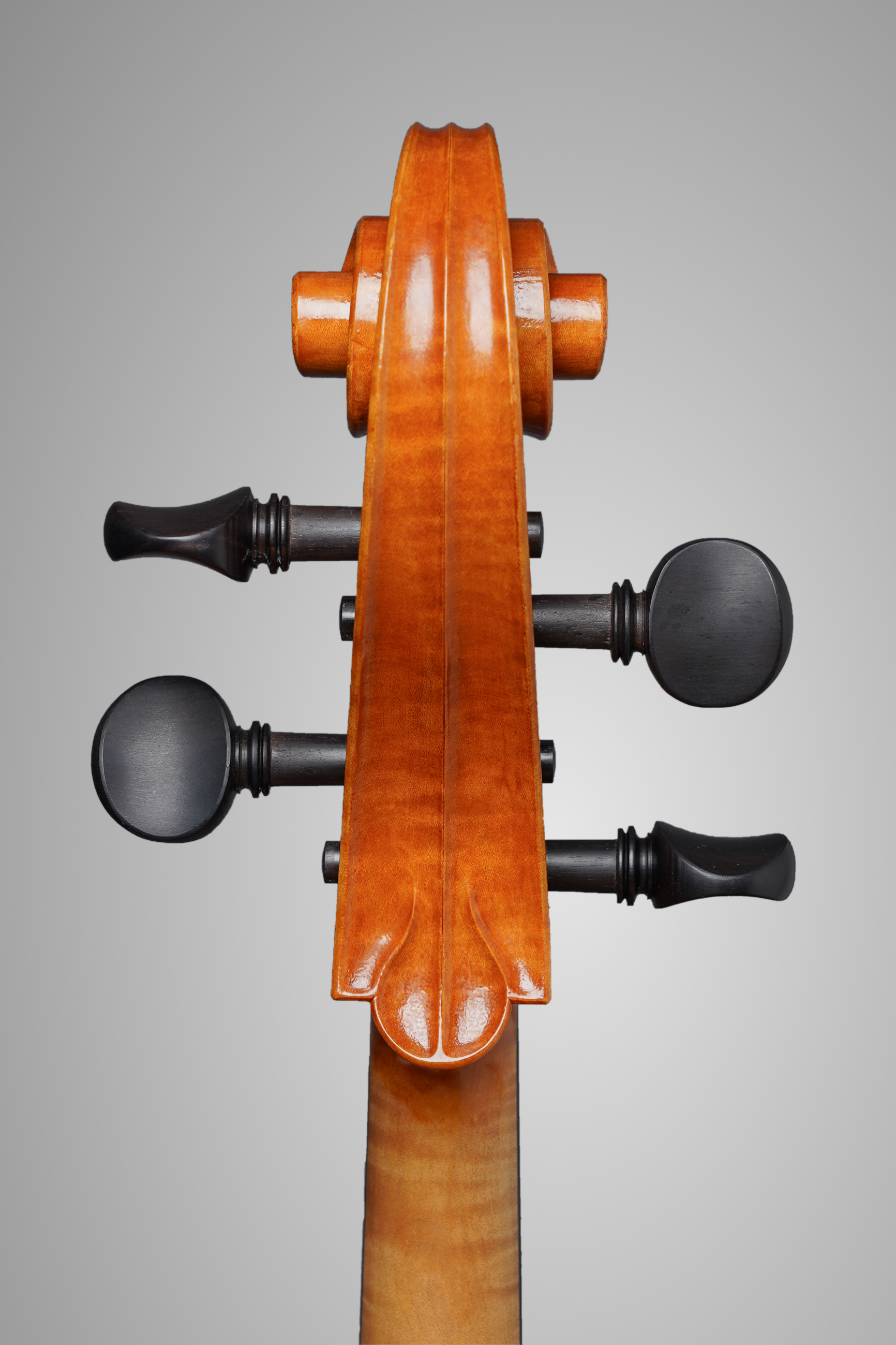 Amandine hervouet lutherie violoncelle1 6 volute dos credit photo emmanuelle trompille web