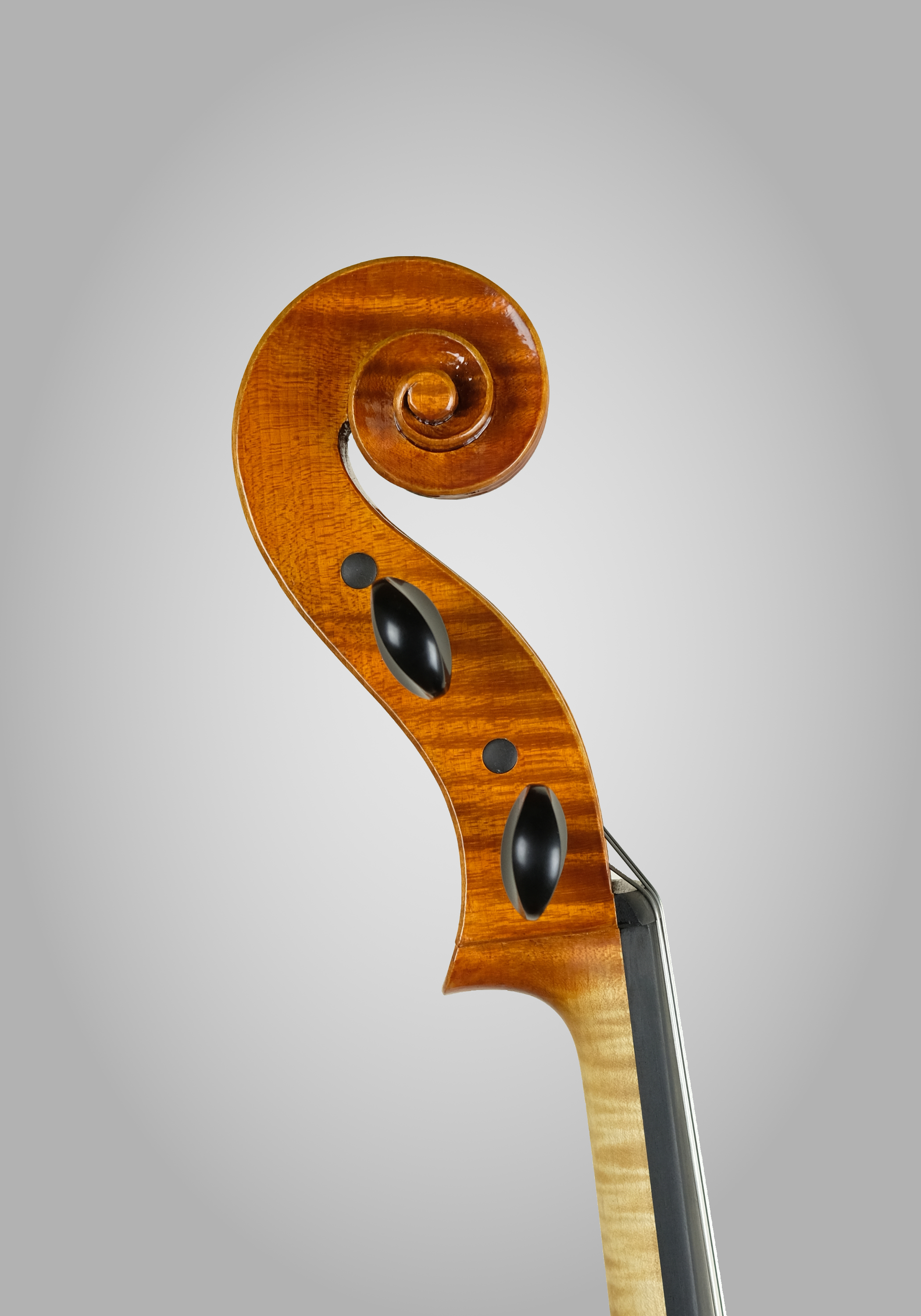 Amandine hervouet lutherie violoncelle2 3 volute