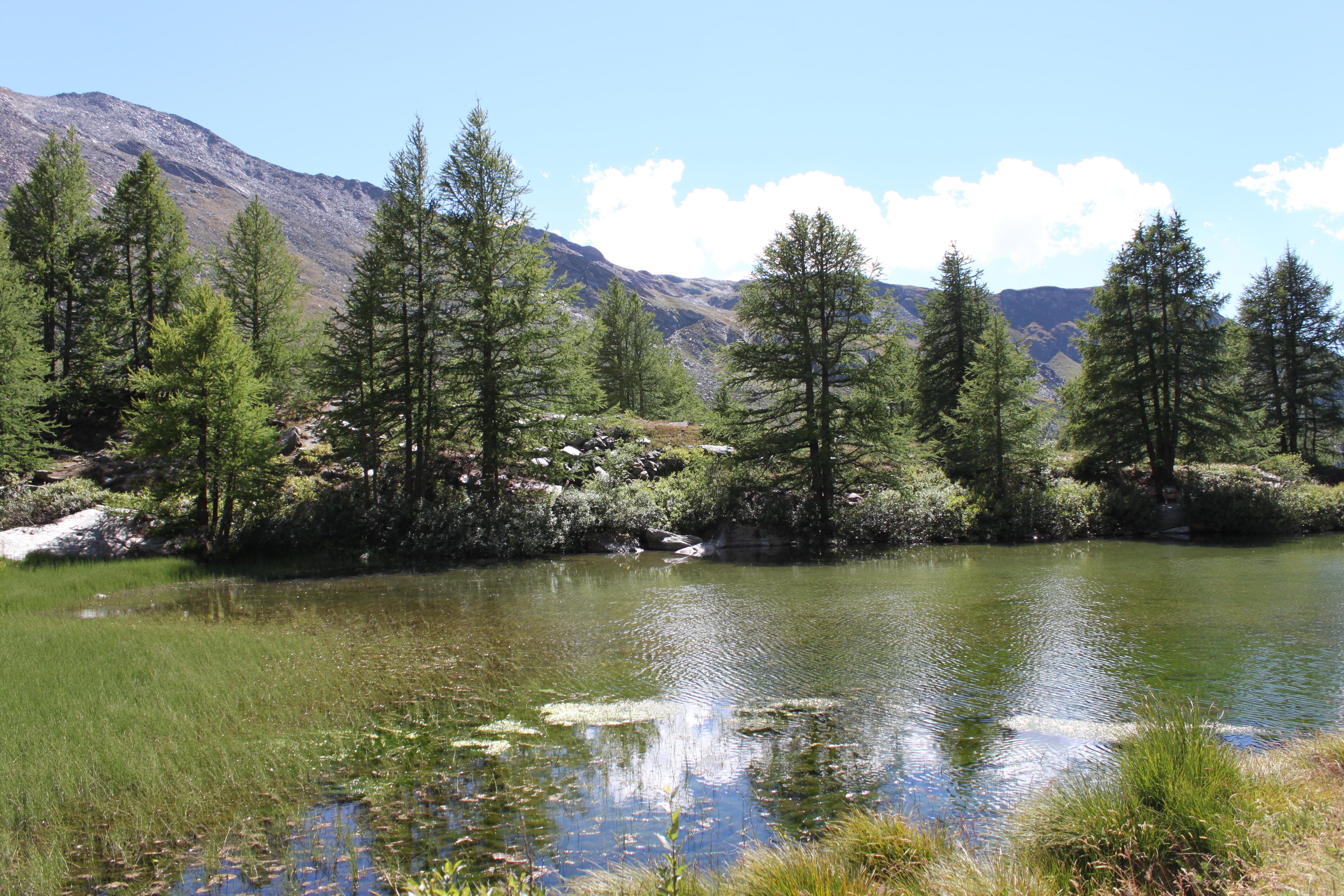 Lac Grindjesee dans dans les Alpes valaisannes suisses