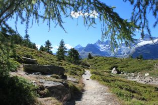 Sentier entre le lac Grünsee et Riffelalp dans les Alpes valaisannes suisses