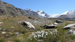Adlerhorn et glacier de Findelen dans les Alpes valaisannes suisses / Photos of Switzerland