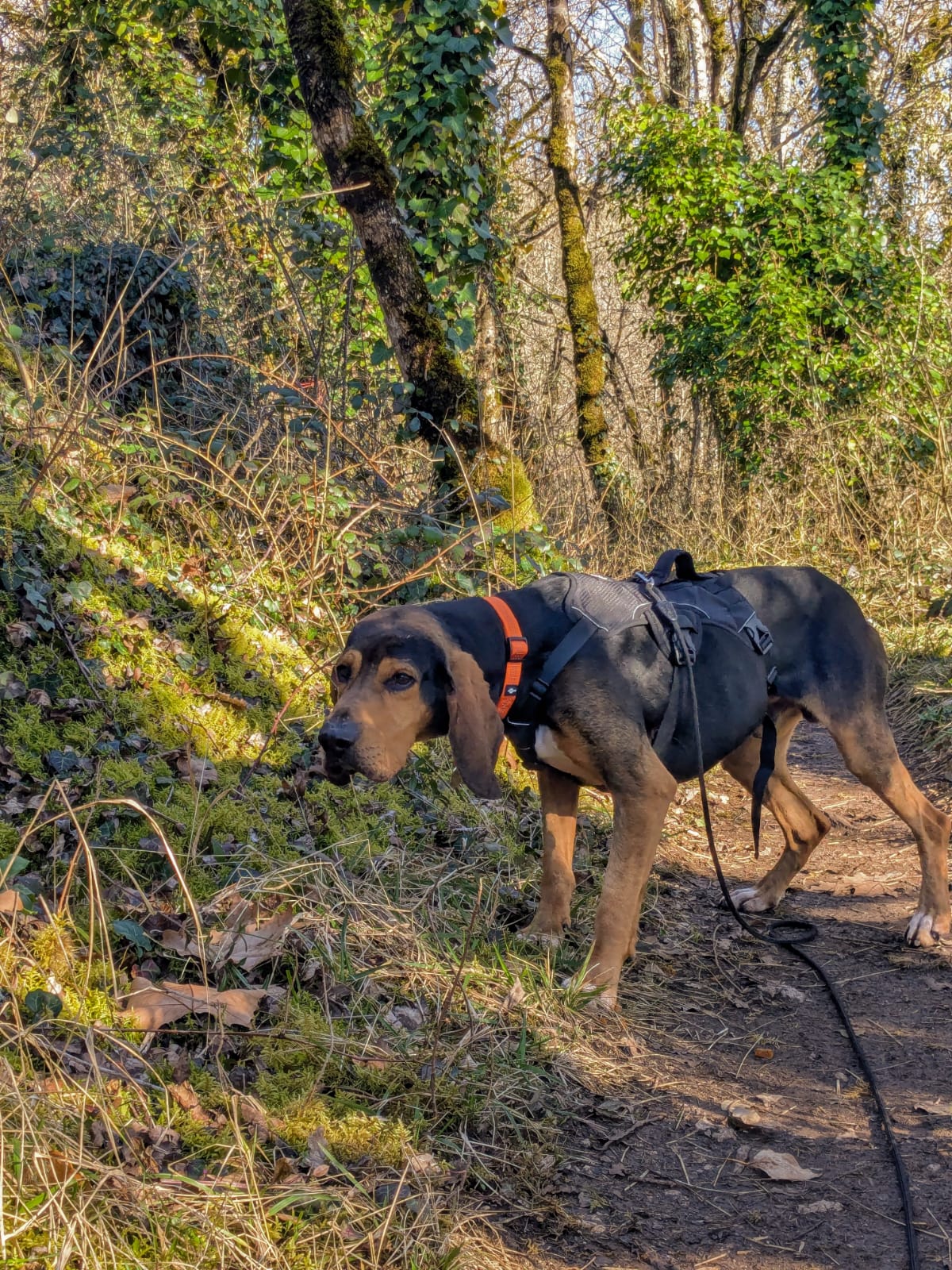 Whatsapp image 2025 02 23 at 17 33 54