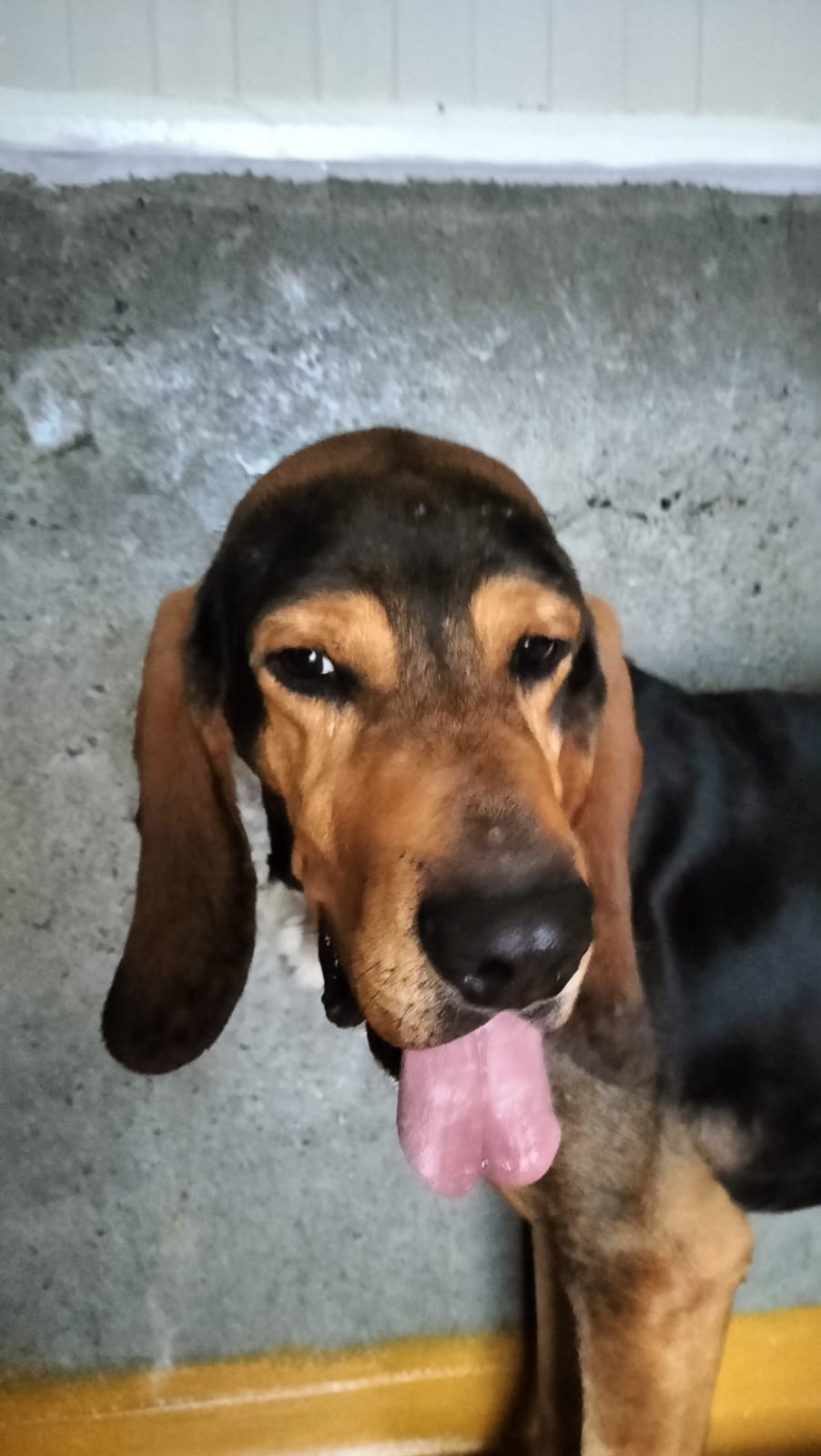 Whatsapp image 2025 01 22 at 18 46 23