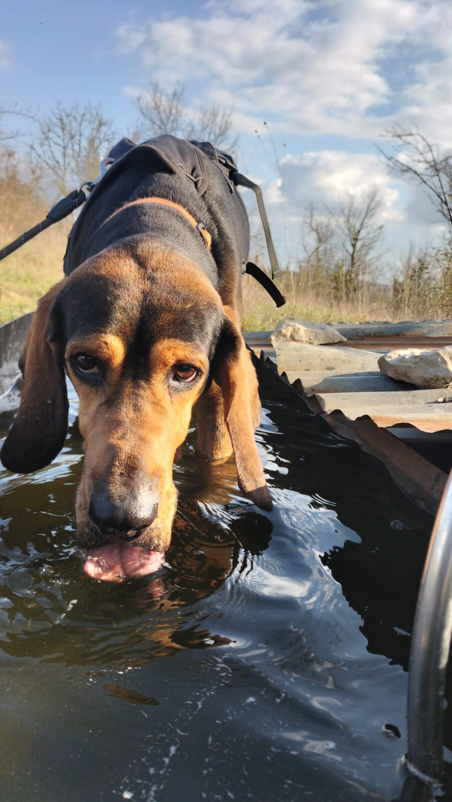 Whatsapp image 2025 03 26 at 18 26 40