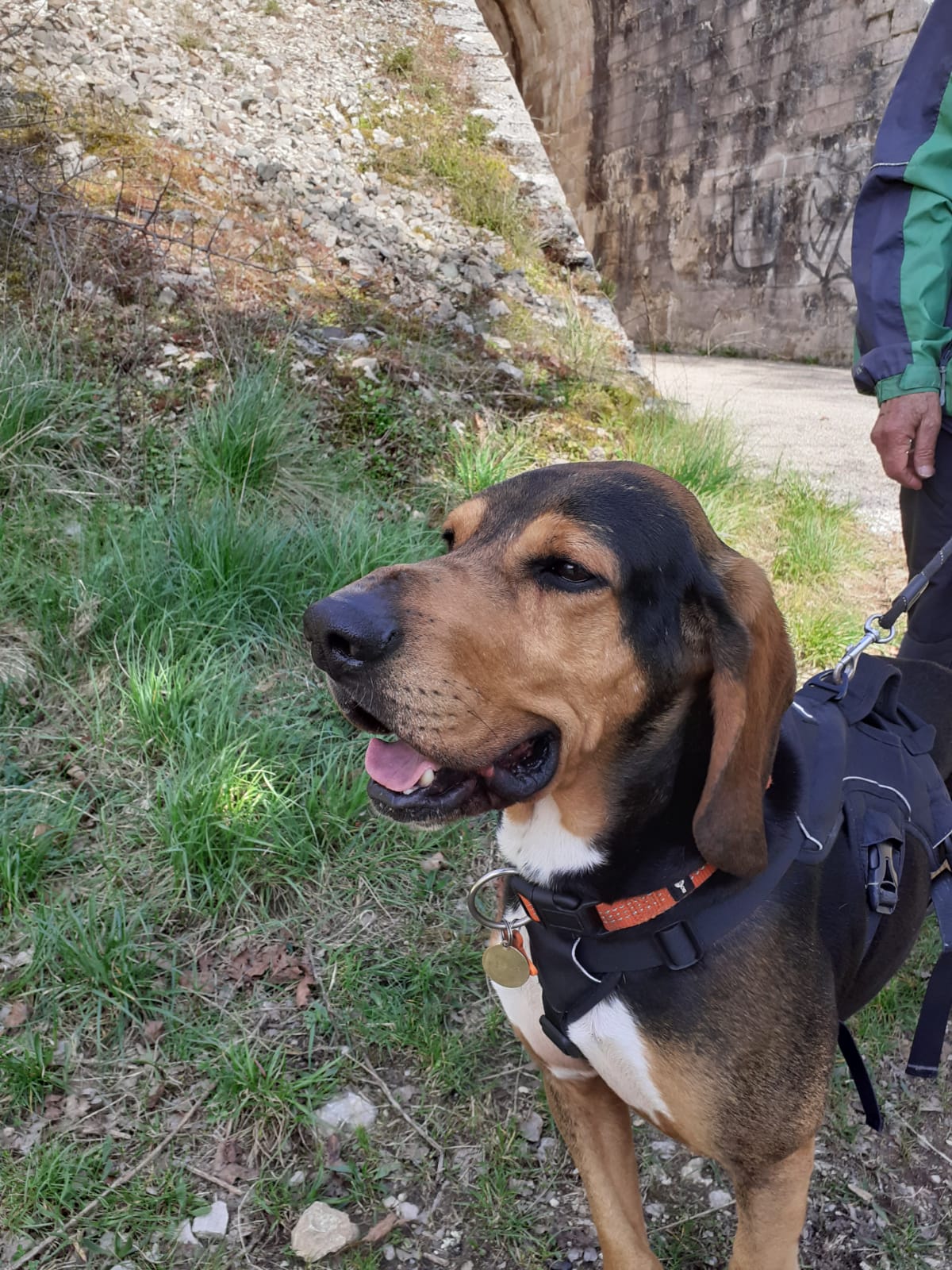 Whatsapp image 2025 03 29 at 18 23 47