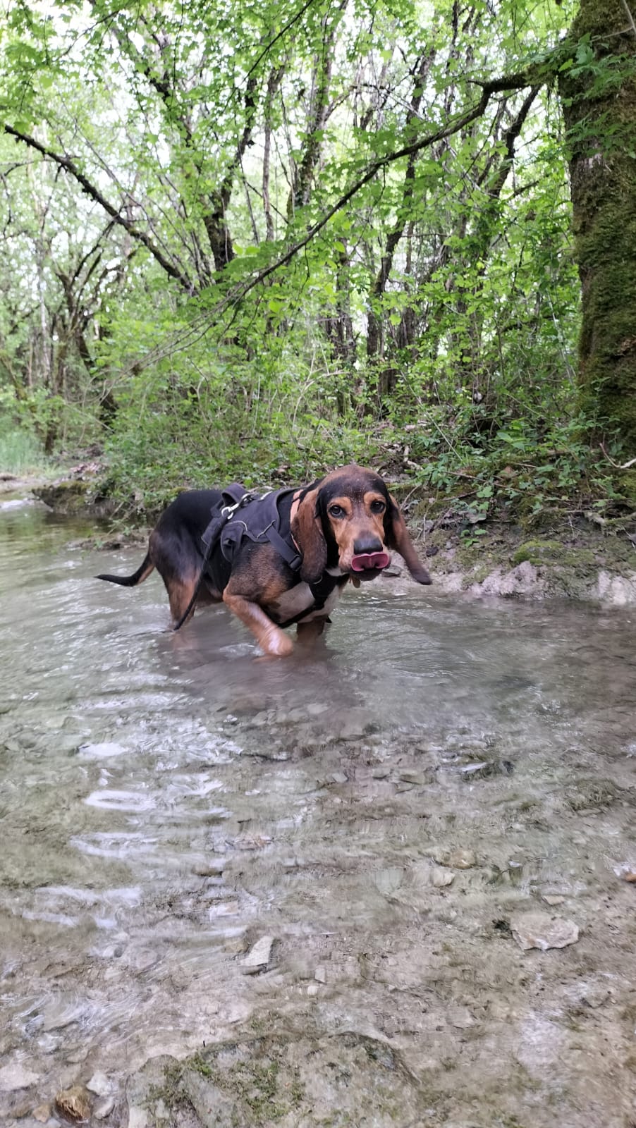 Whatsapp image 2025 05 04 at 19 43 52