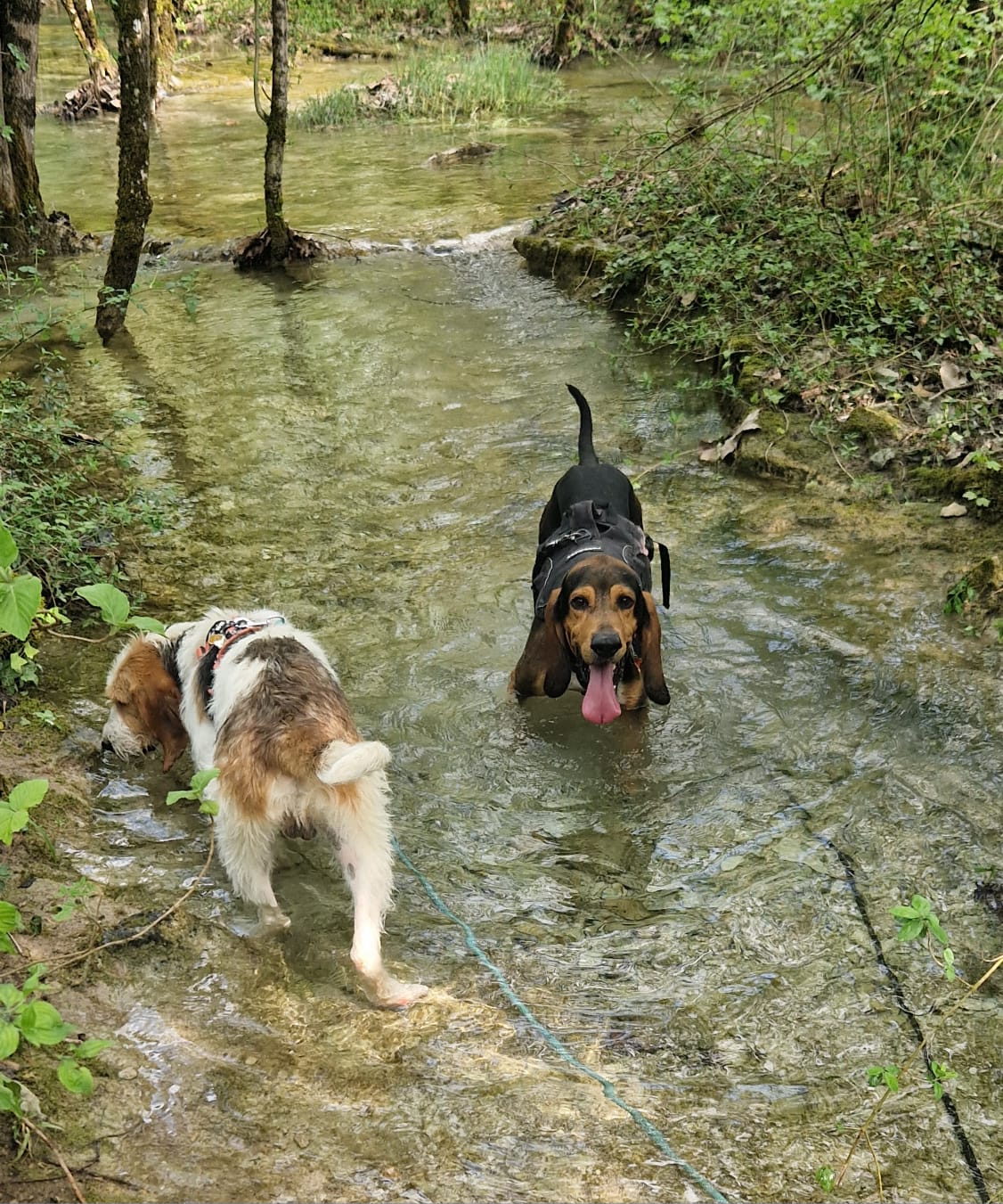 Whatsapp image 2025 04 27 at 18 40 37