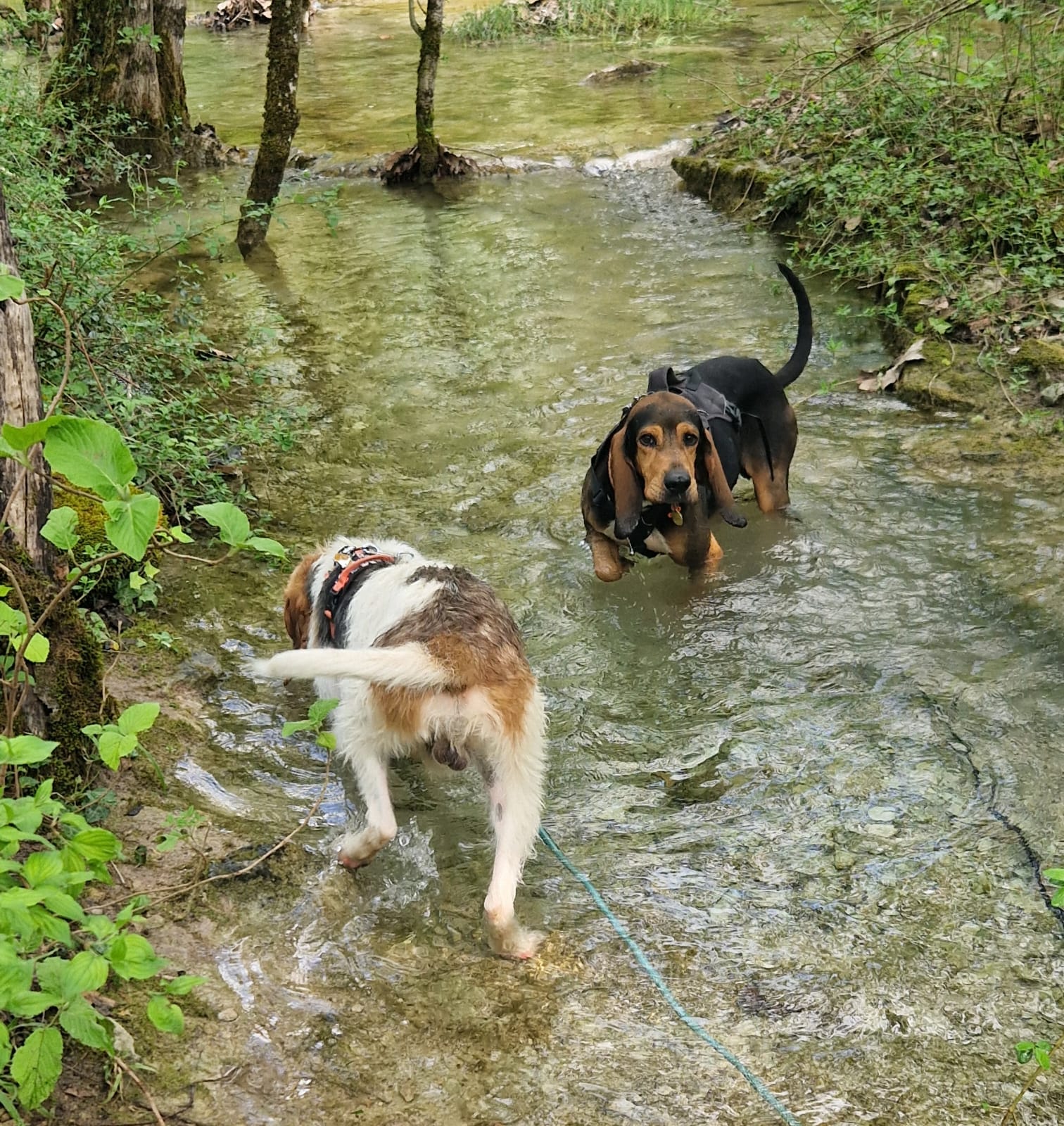 Whatsapp image 2025 04 27 at 18 40 36