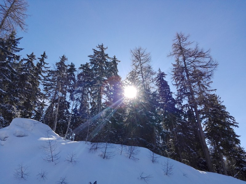 Hiver 8