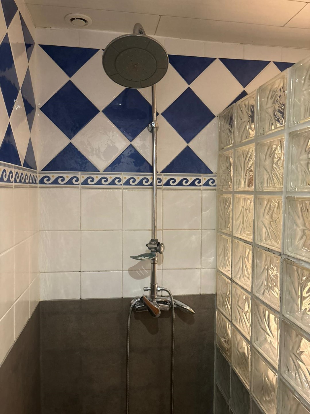 Chevrefeuille sb3 grand 