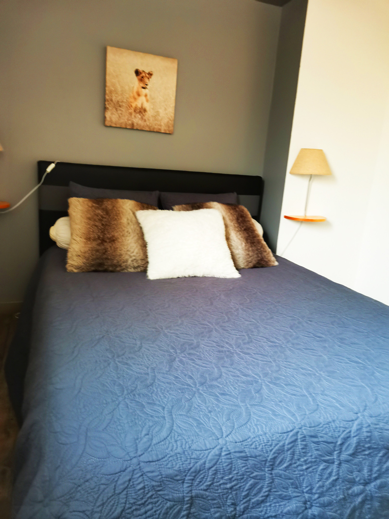 Chambre savane2