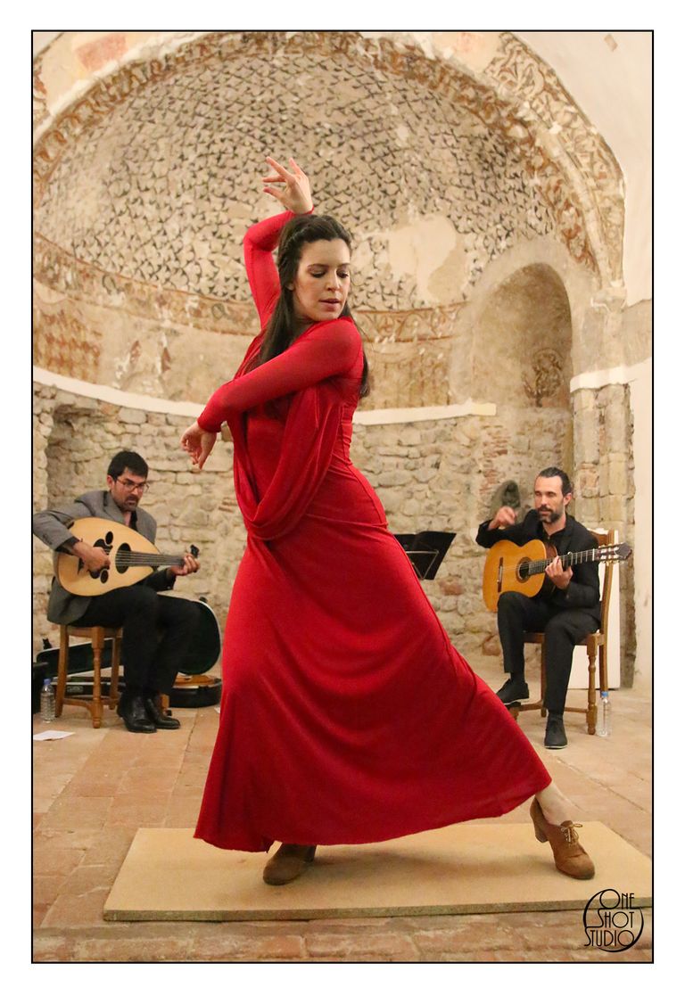 Flamenco 2