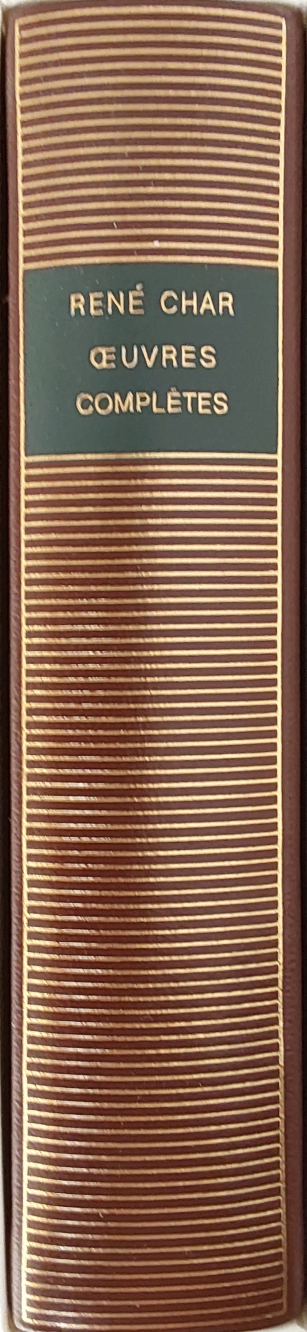 Pleiade-308-CHAR1-466