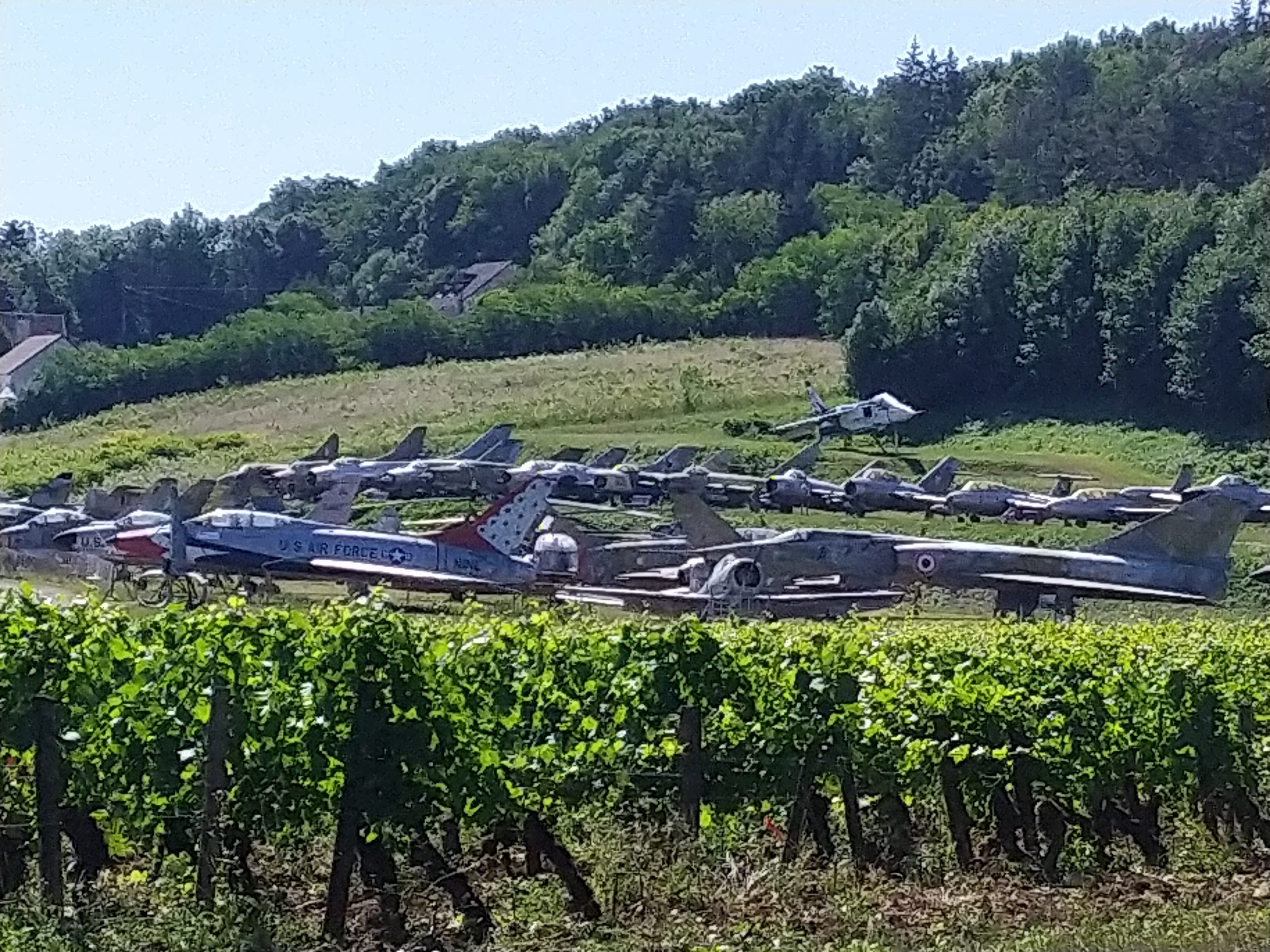 2 chateau de savigny les beaune 11 