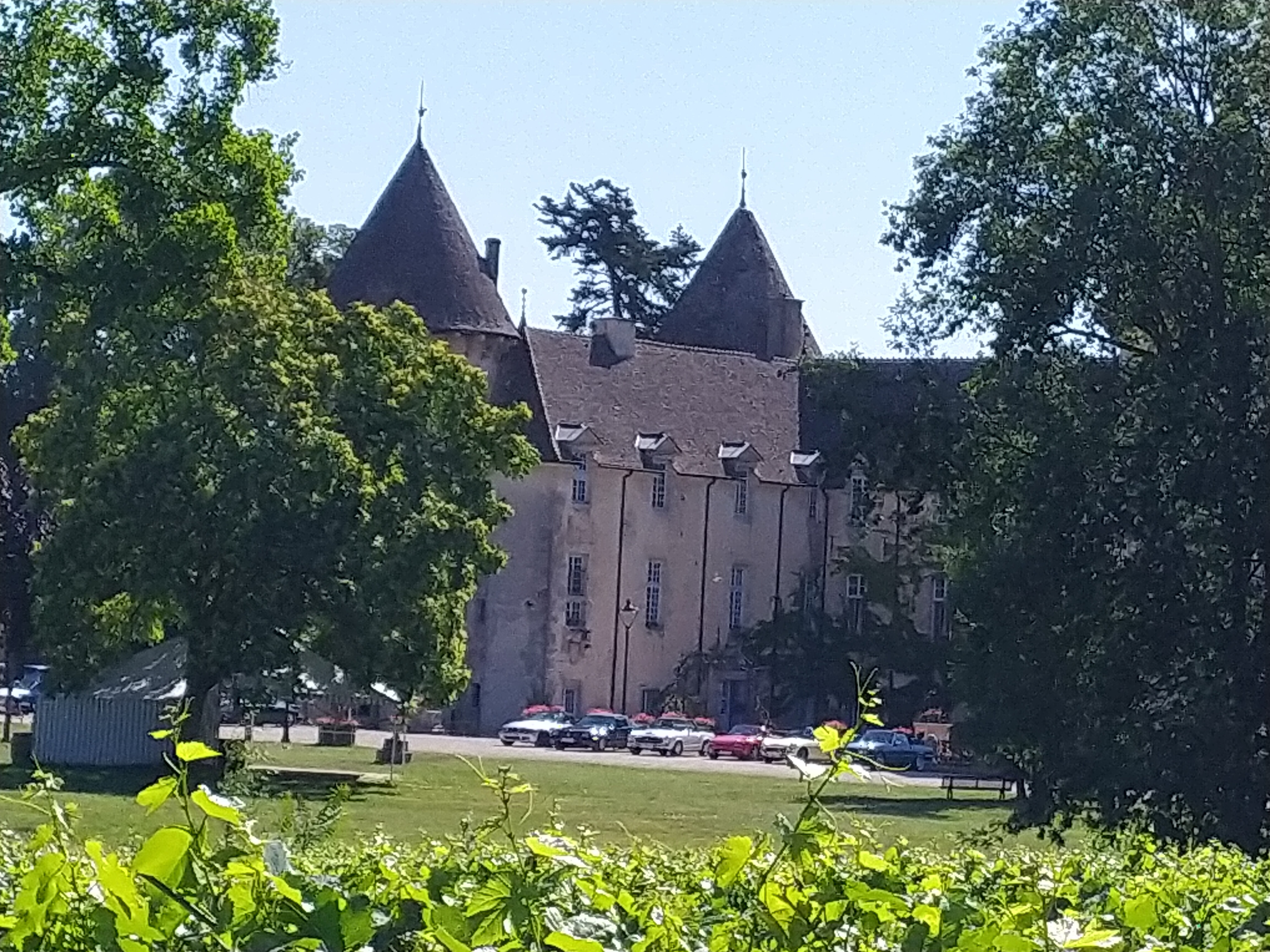 2 chateau de savigny les beaune 10 