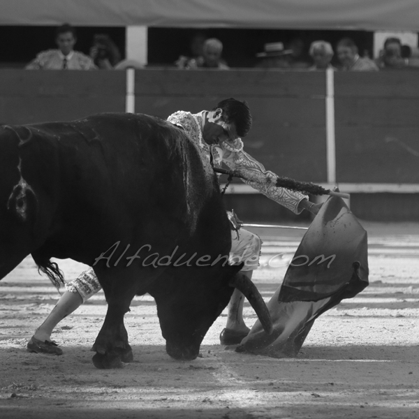 Chateaurenard 20180722 1 