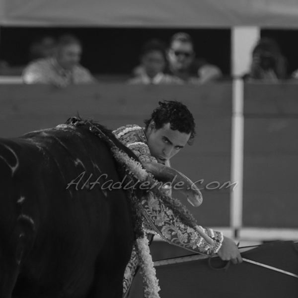 Chateaurenard 20180722 4 