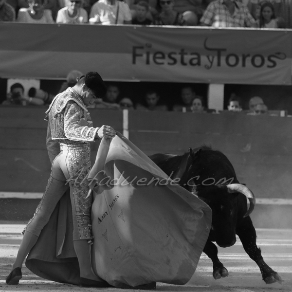 Chateaurenard 20180722 6 