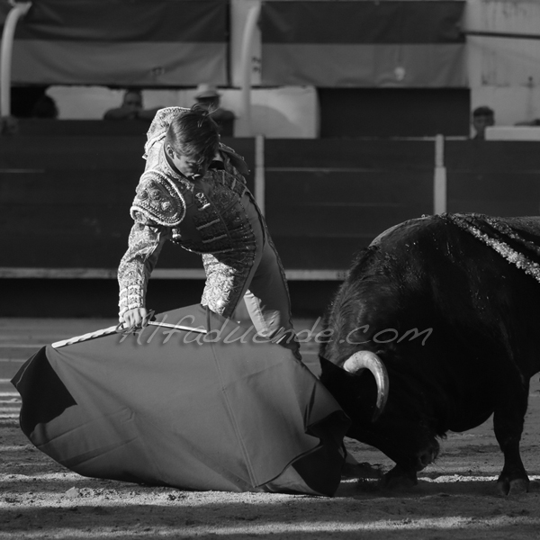 Chateaurenard 20180722 9 